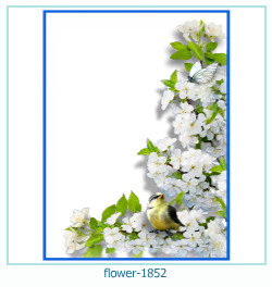 floare rama foto 1852