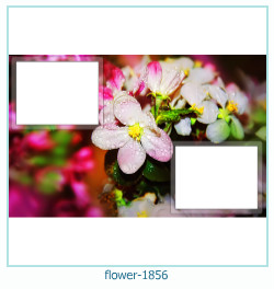 floare rama foto 1856