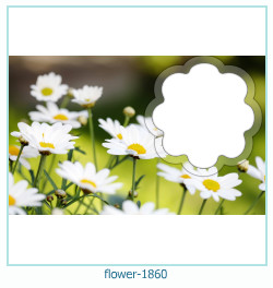 floare rama foto 1860