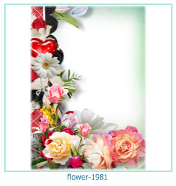 floare rama foto 1981