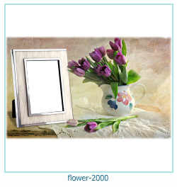 floare rama foto 2000