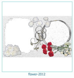 floare rama foto 2012