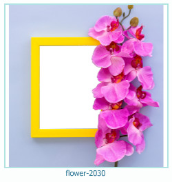rama foto de flori 2030