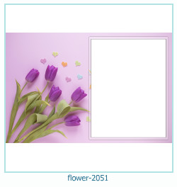 floare rama foto 2051