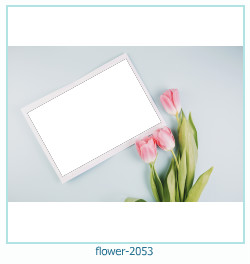 floare rama foto 2053