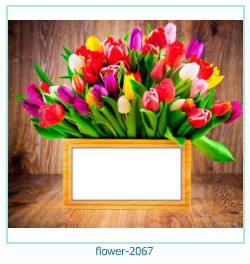 floare rama foto 2067