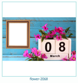floare rama foto 2068