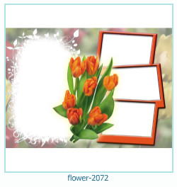 floare rama foto 2072