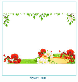 floare rama foto 2081