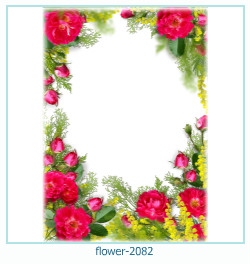 floare rama foto 2082