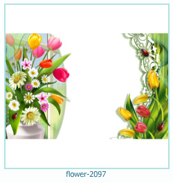 floare rama foto 2097
