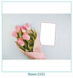 floare rama foto 2103