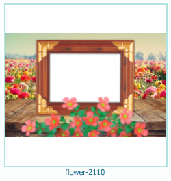 floare rama foto 2110