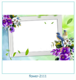 floare rama foto 2111