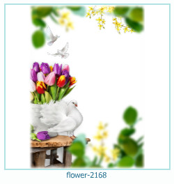 floare rama foto 2168