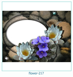 floare rama foto 217