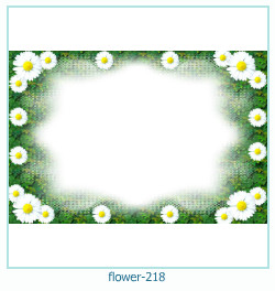 floare rama foto 218