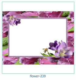 floare rama foto 239