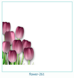 floare rama foto 261