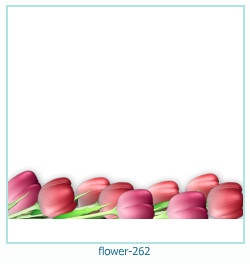 floare rama foto 262