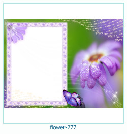 floare rama foto 277