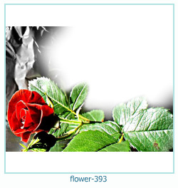 floare rama foto 393