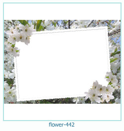 floare rama foto 442