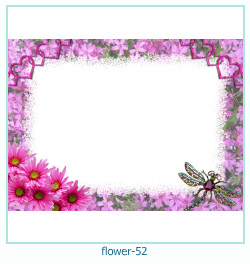 floare rama foto 52