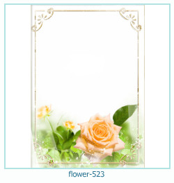 floare rama foto 523