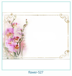 floare rama foto 527