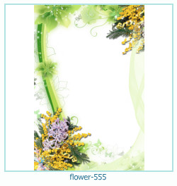 floare rama foto 555