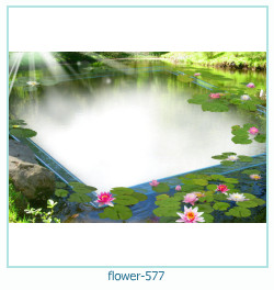 floare rama foto 577