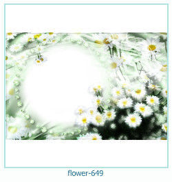 floare rama foto 649