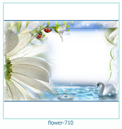 floare rama foto 710