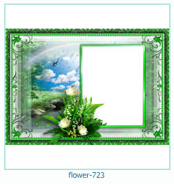 floare rama foto 723