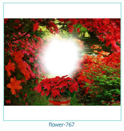 floare rama foto 767