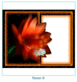 floare an an rama foto 8