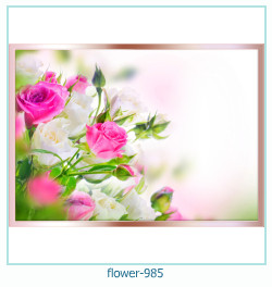 floare rama foto 985