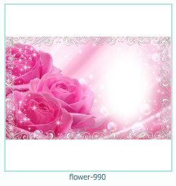 floare rama foto 990