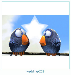 rama foto de nunta 253