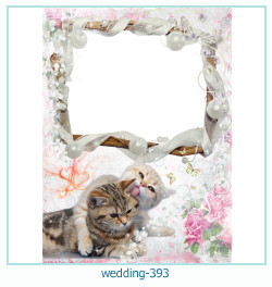 rama foto de nunta 393