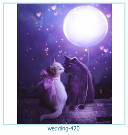 rama foto de nunta 420